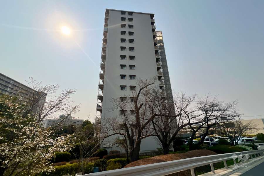 ボナハイツ中川の外観（東側から）