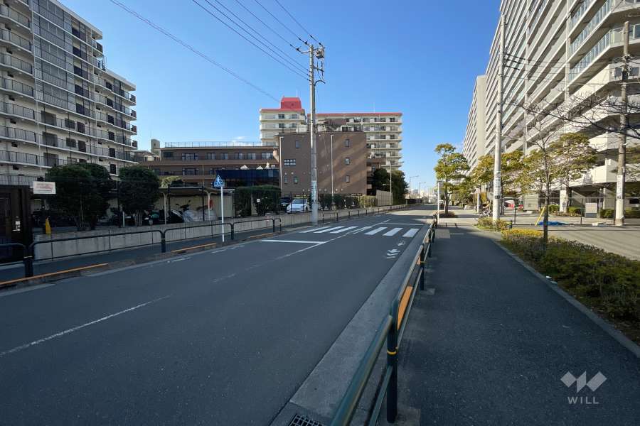 敷地北東側の前面道路（南東側から）