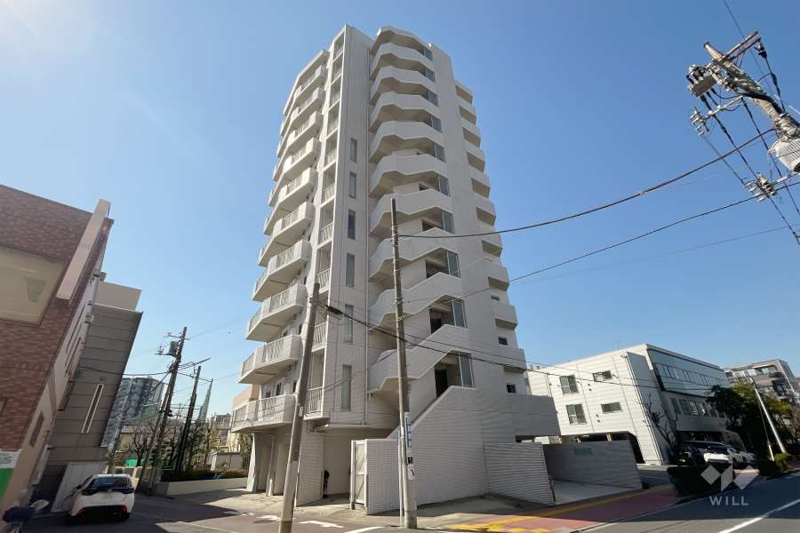 ラアトレ梅島の外観（北東側から）