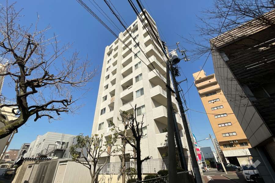 ラアトレ梅島の外観（東南側から）