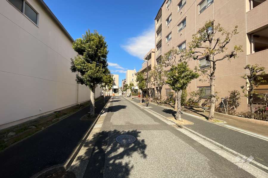 敷地西側の前面道路