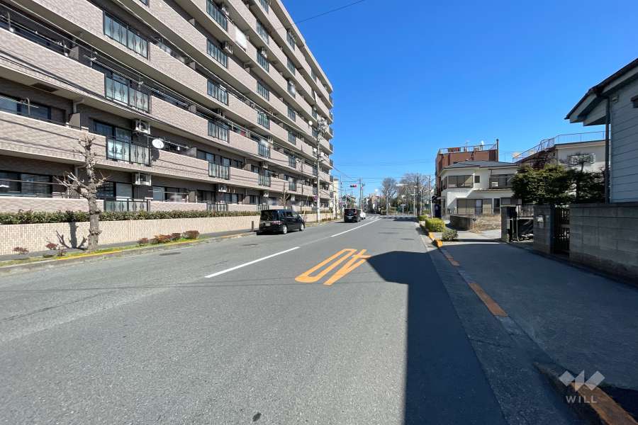 敷地南側の前面道路