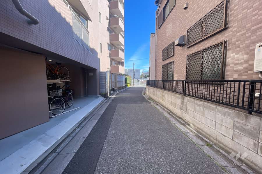 敷地の南側道路（西側から）