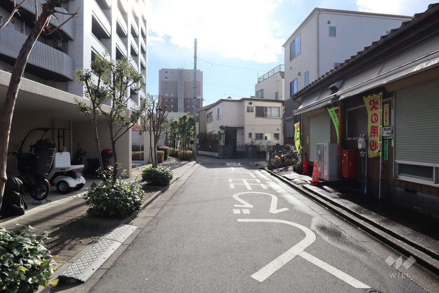 敷地西側の前面道路(北側から)