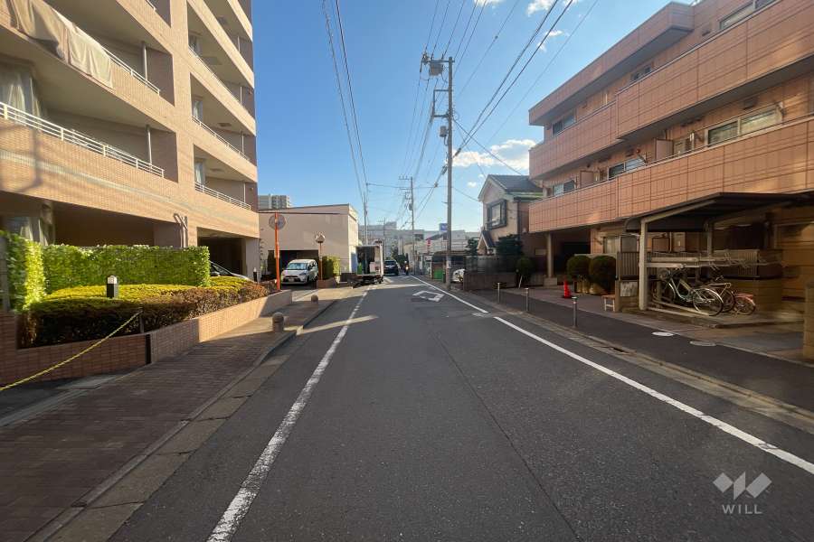 敷地の西側前面道路（南側から）