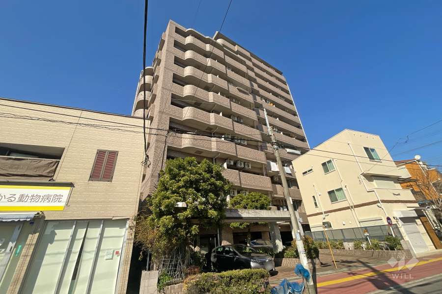 ライオンズシティ梅島の外観（南西側から）