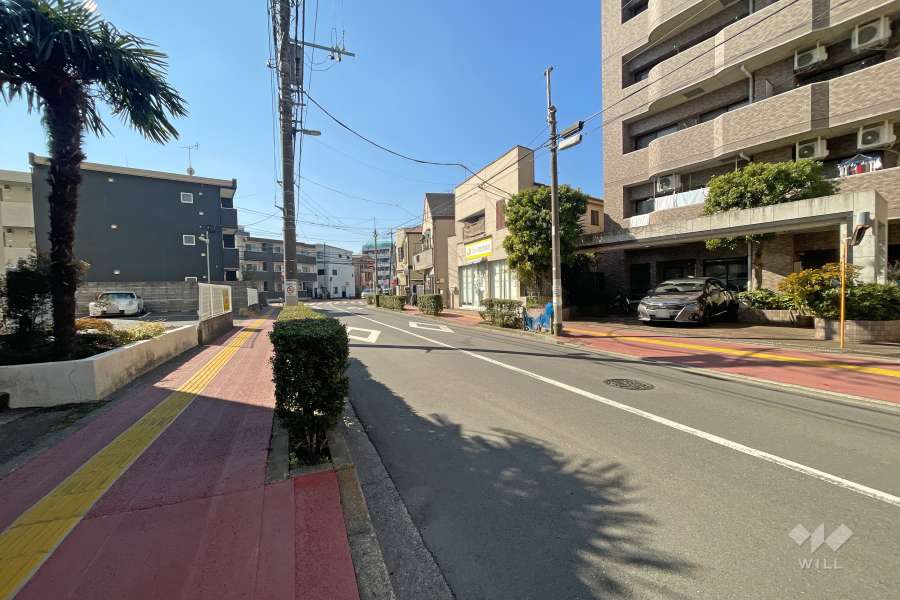 敷地南東側の前面道路（北東側から）