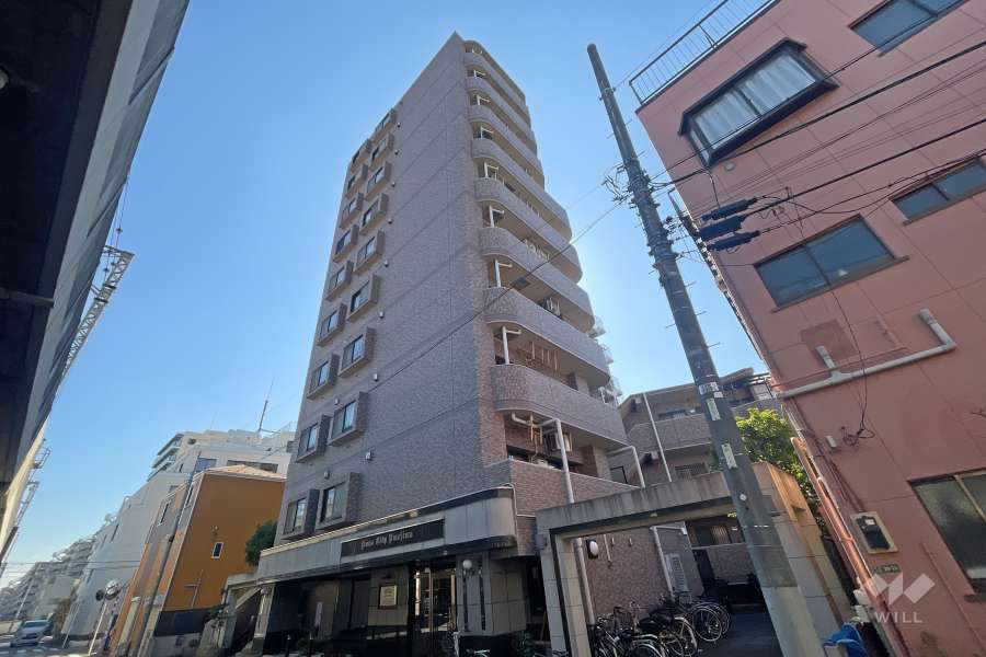 ライオンズシティ梅島の外観（北東側から）