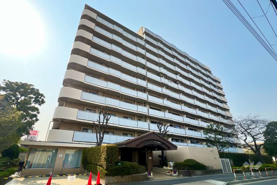 ライオンズプラザ北綾瀬の外観（南東側から）