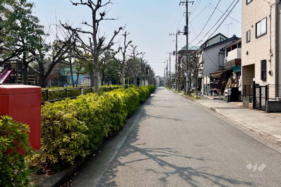 敷地の北側前面道路（東側から）