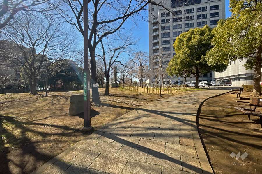 西側に隣接する『区立中央公園』