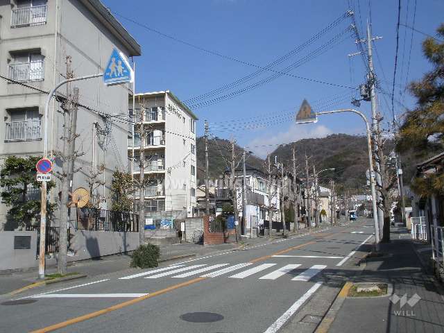 敷地の東側道路