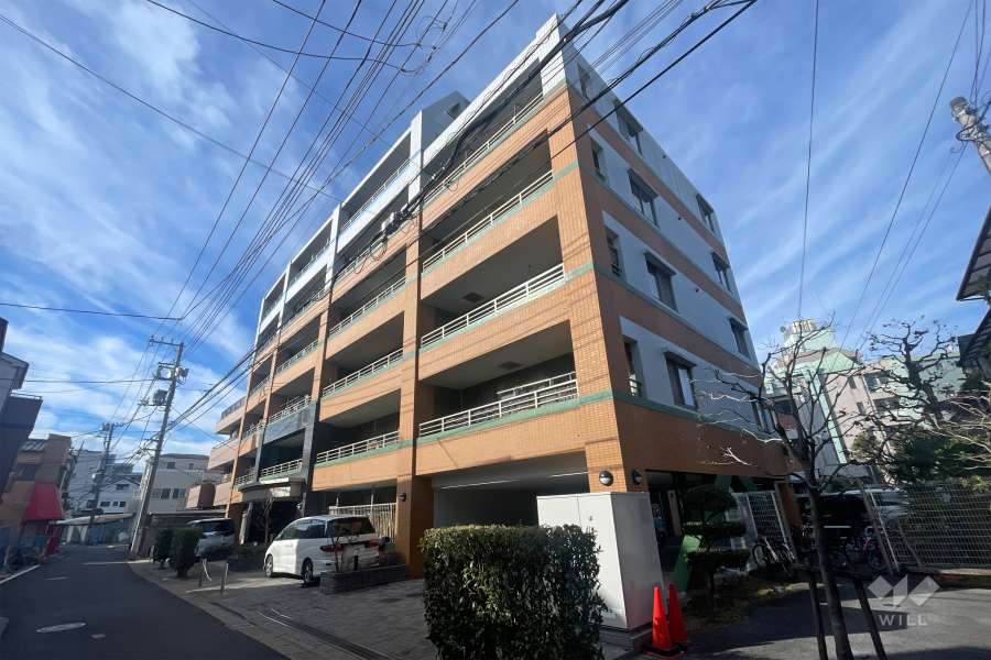 カーサフェリス西新井の外観（南東側から）