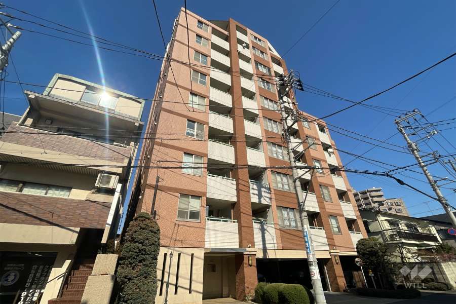 リリーベル梅島ラフィナートの外観（南西側から）