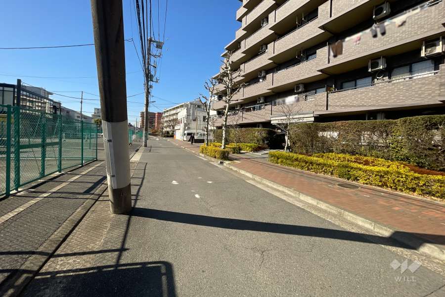 敷地南側の前面道路　