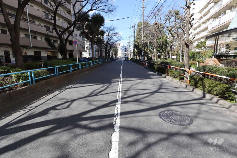 敷地南西側の前面道路（東側から）