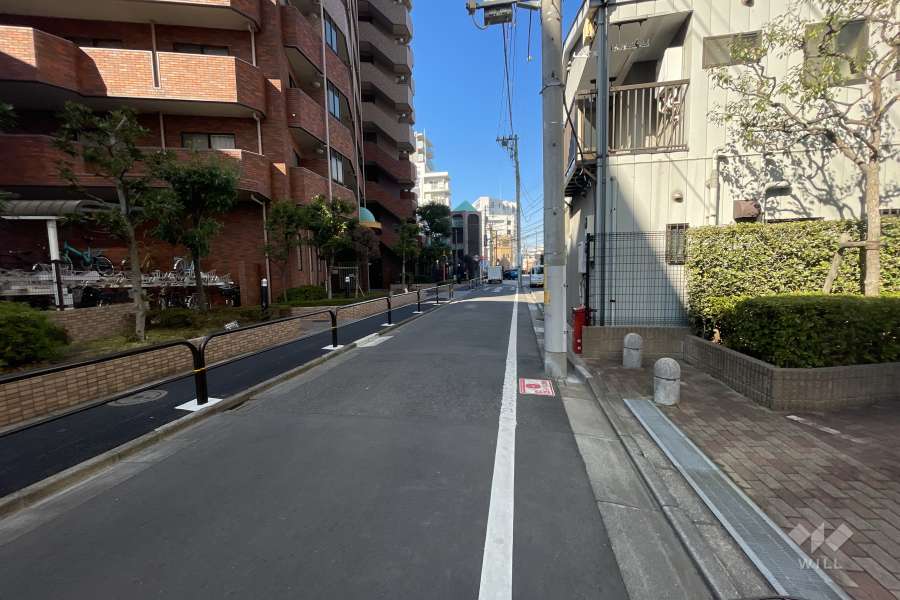 敷地の東側前面道路（南側から）