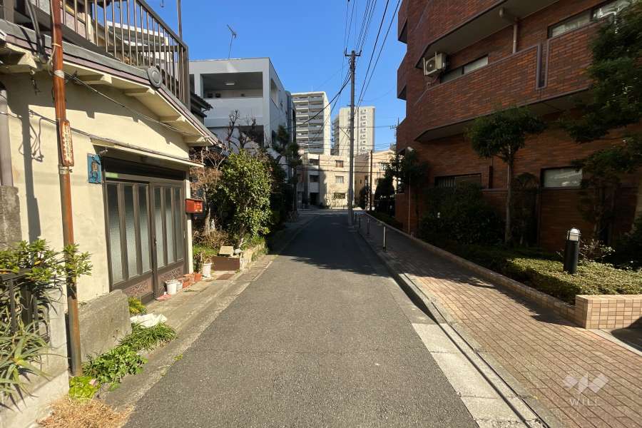 敷地の北側前面道路（西側から）