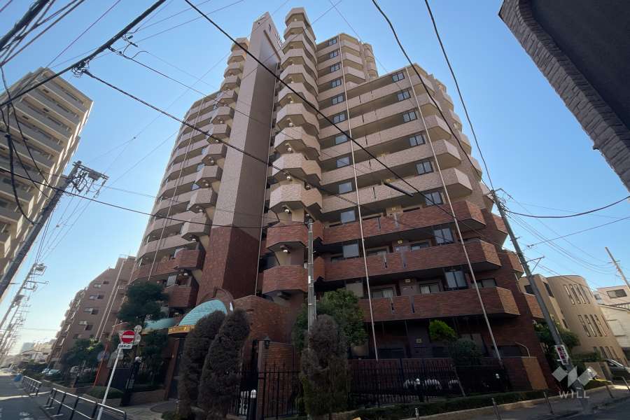 ダイアパレス梅島の外観（北側から）