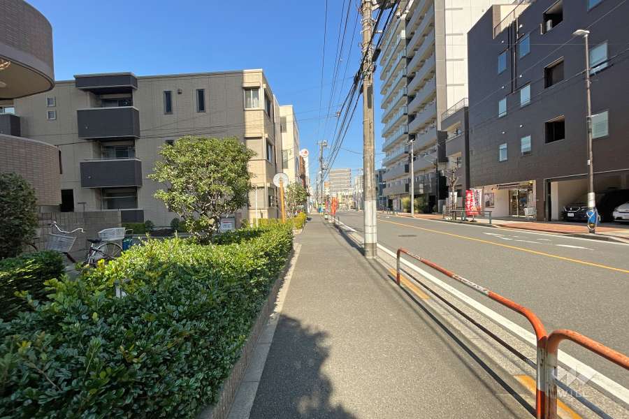 敷地北東側の前面道路（南東側から）