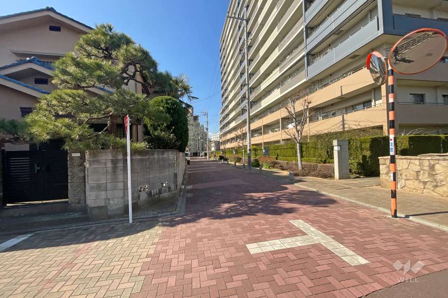 敷地南側の前面道路（東側から）