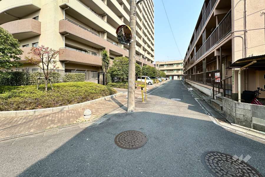 敷地南側の前面道路