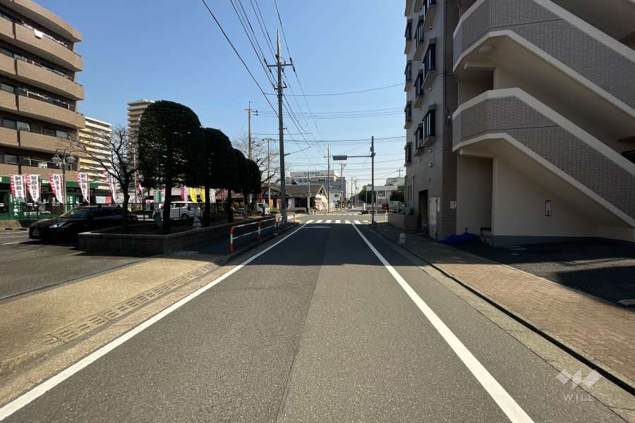 敷地の北側前面道路（西側から）