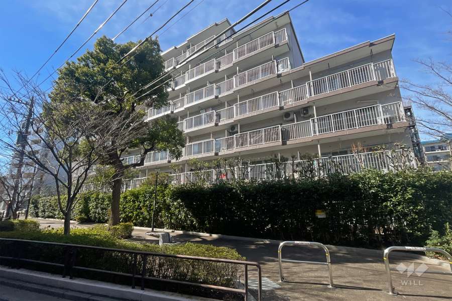 西新井スカイハイツの外観（北東側から）