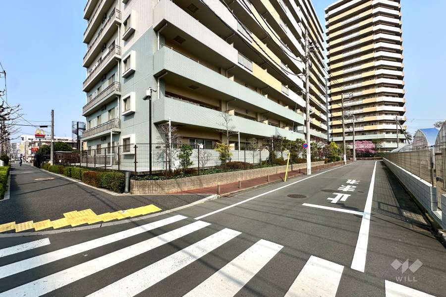 敷地の南側前面道路（西側から）