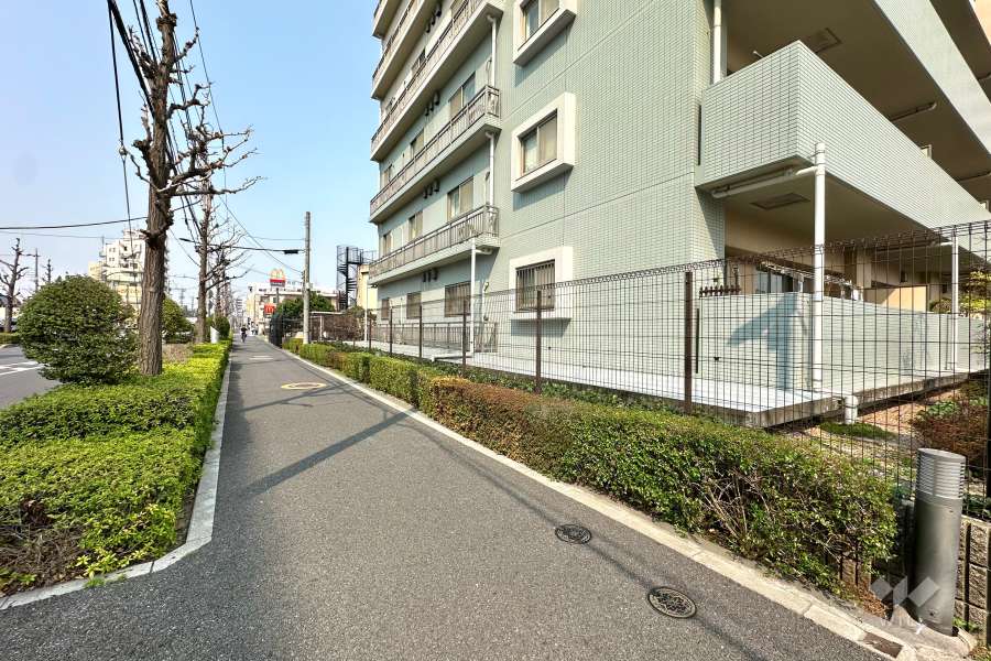 敷地の西側前面道路（南側から）