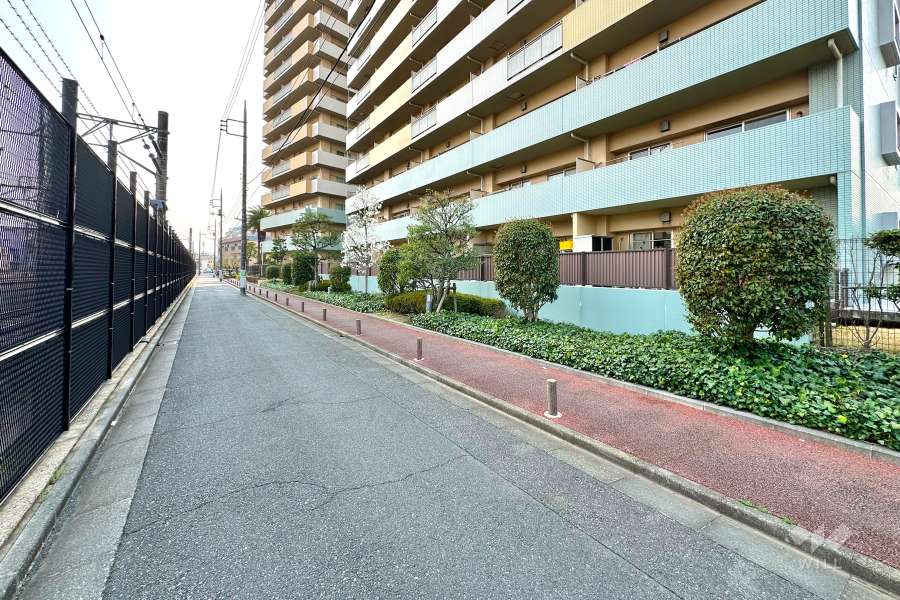 敷地の東側前面道路（北側から）