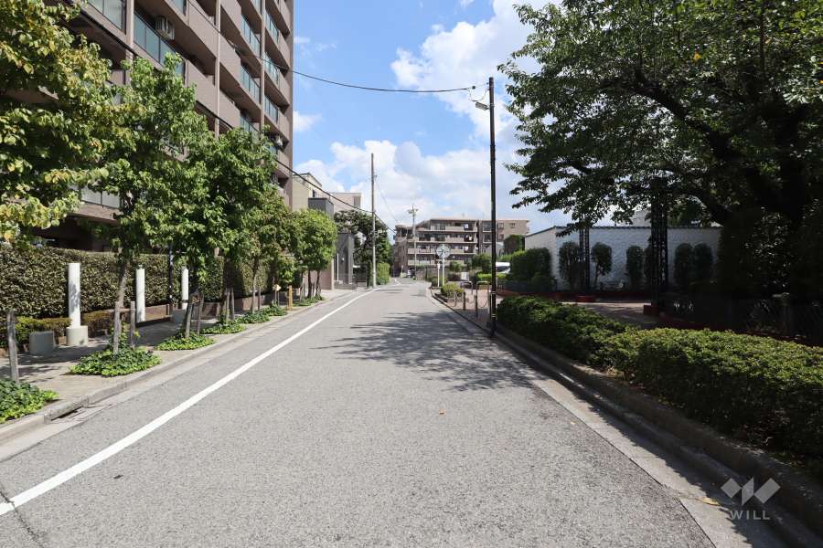 敷地北側の前面道路　