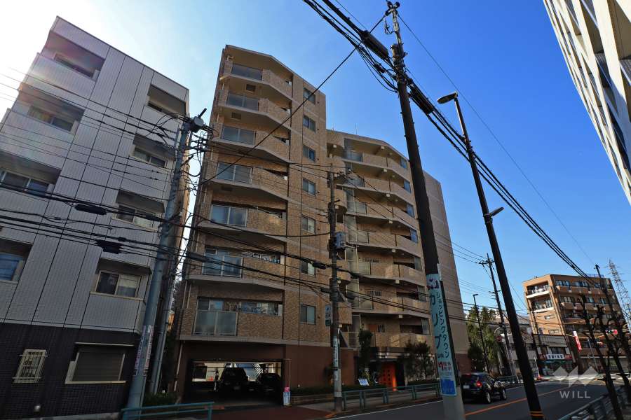 ローヤルシティ梅島の外観（南東側から）