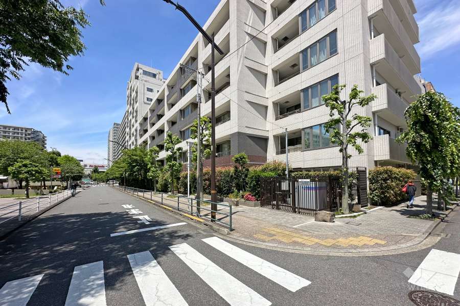 敷地南側の前面道路（東側から）