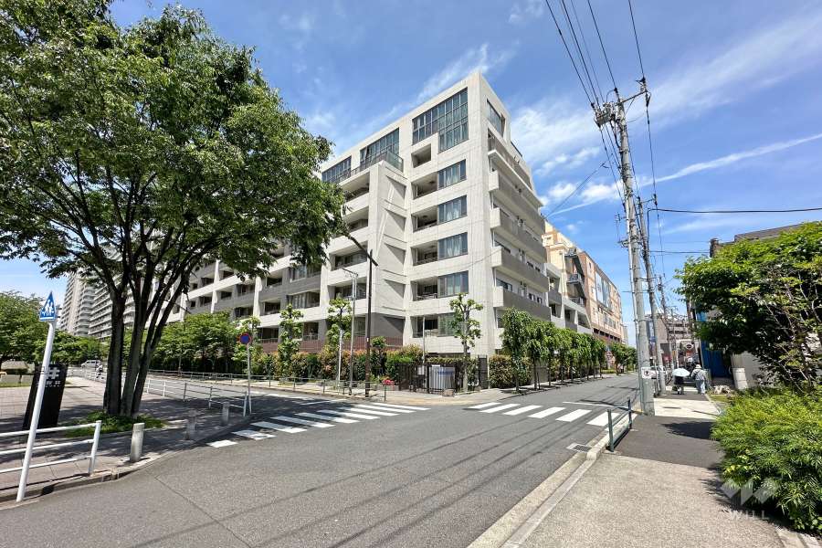 敷地東側の前面道路（南側から）