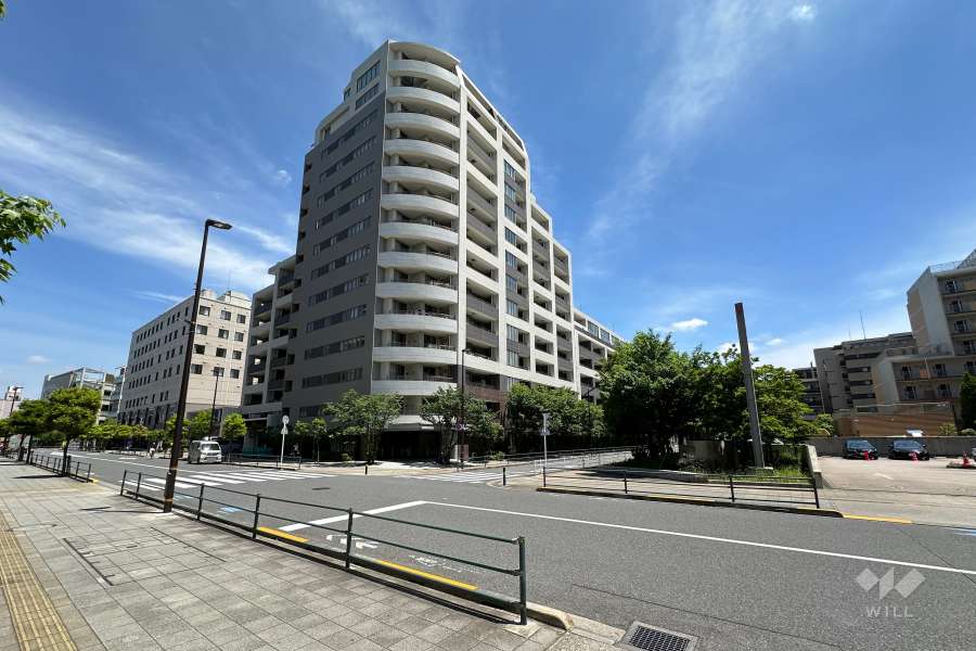 敷地西側の前面道路（南側から）