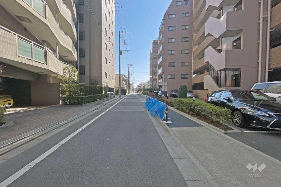 敷地の東側前面道路（南側から）