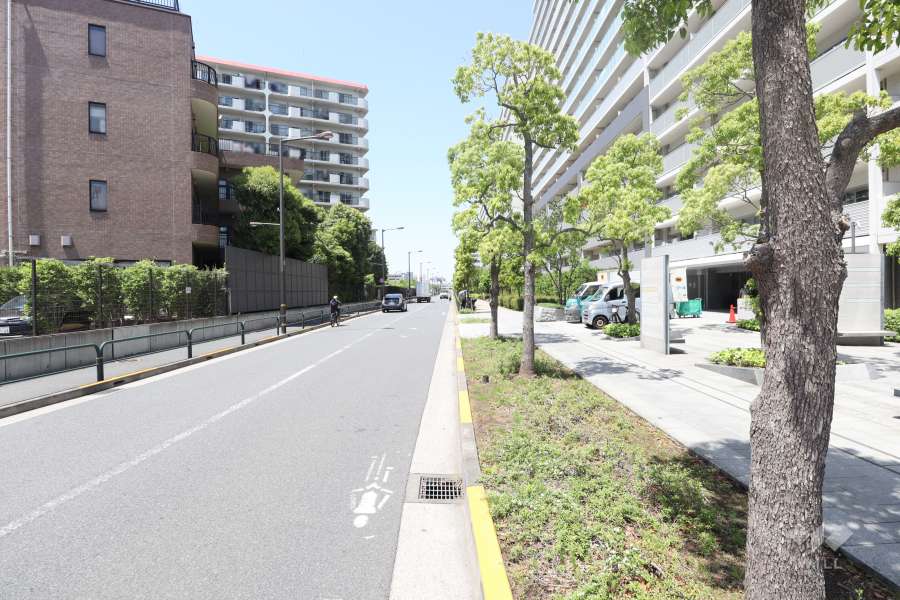 敷地南西側の前面道路