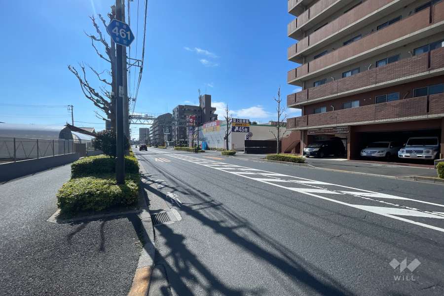 敷地西側の前面道路（北側から）