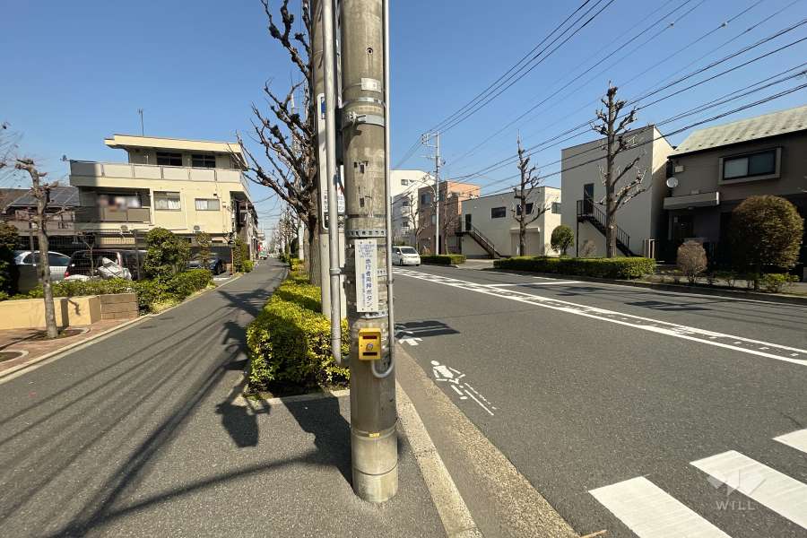 敷地東側の前面道路