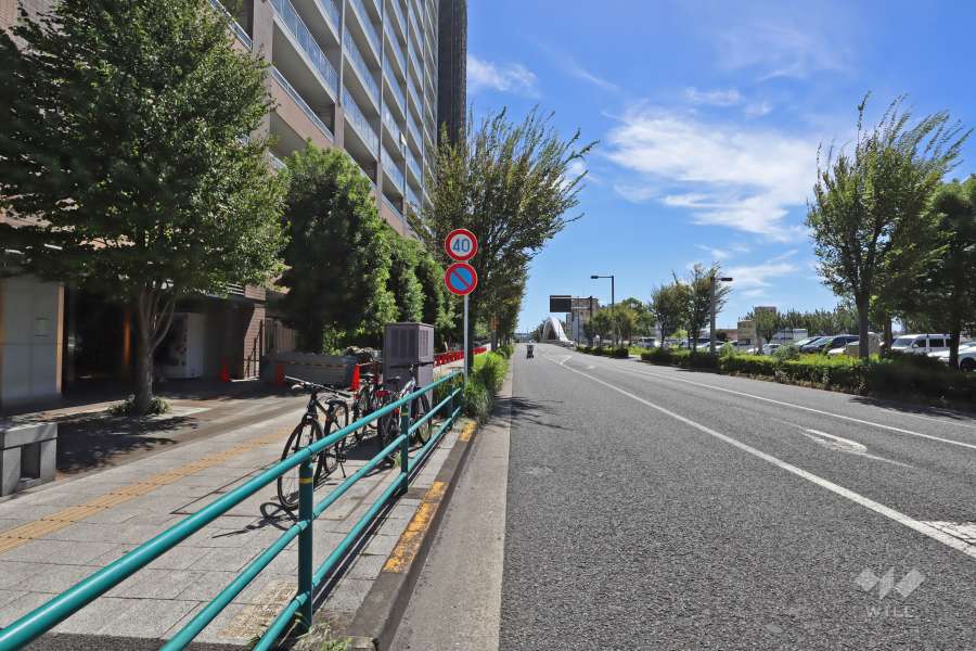 敷地西側の前面道路（北側から）。隅田川に架かる『新豊橋』が見えます。