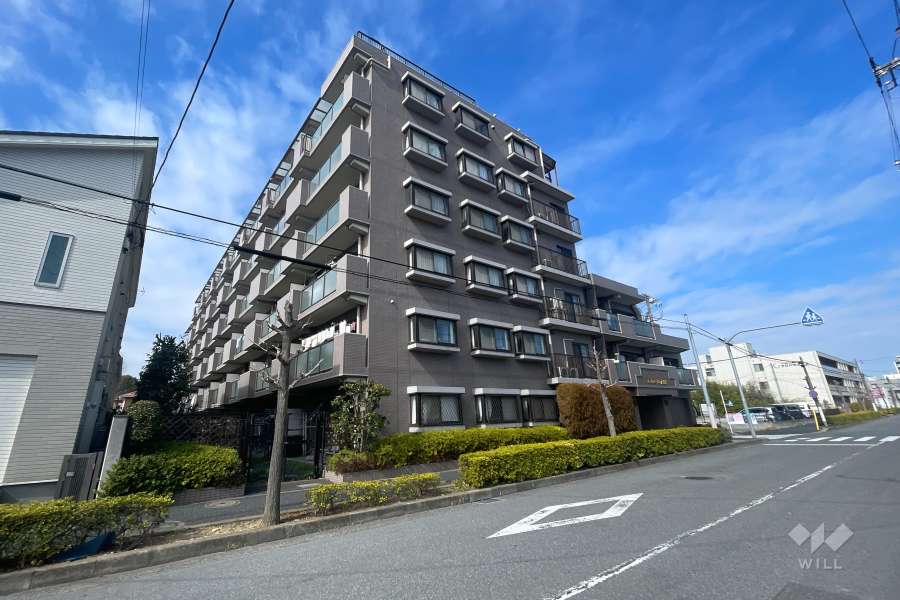 エンゼルハイム西新井の外観（南東側から）　