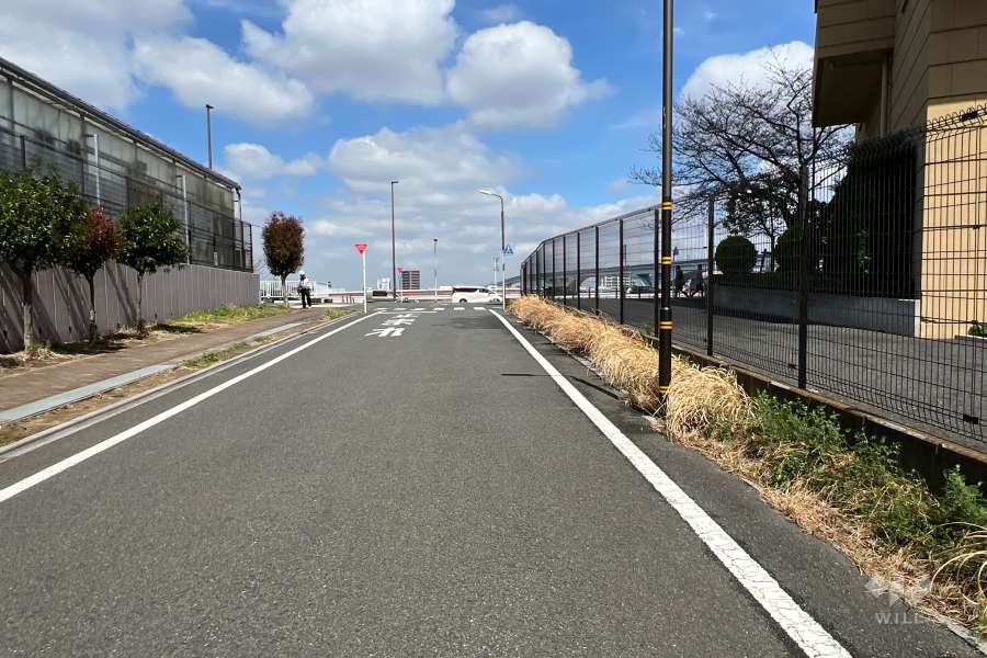 敷地の北西側前面道路（南西側から）