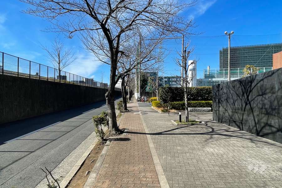 敷地南側の前面道路（東側から）