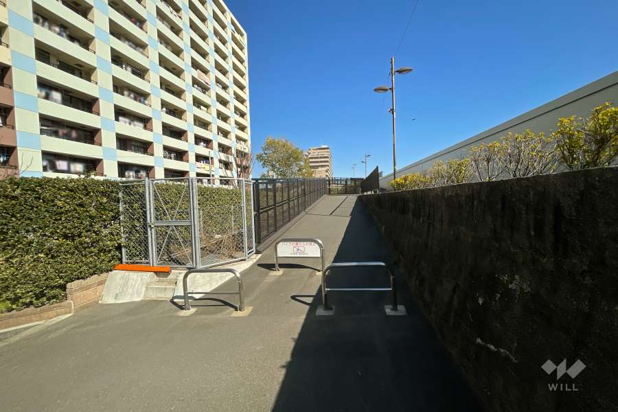 敷地南側の前面道路（西側から）