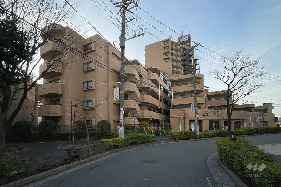 ライオンズステーションプラザ梅島の外観（東側から）