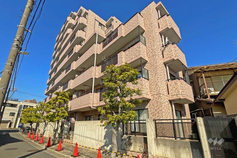 ライオンズプラザ西新井大師の外観（南側から）