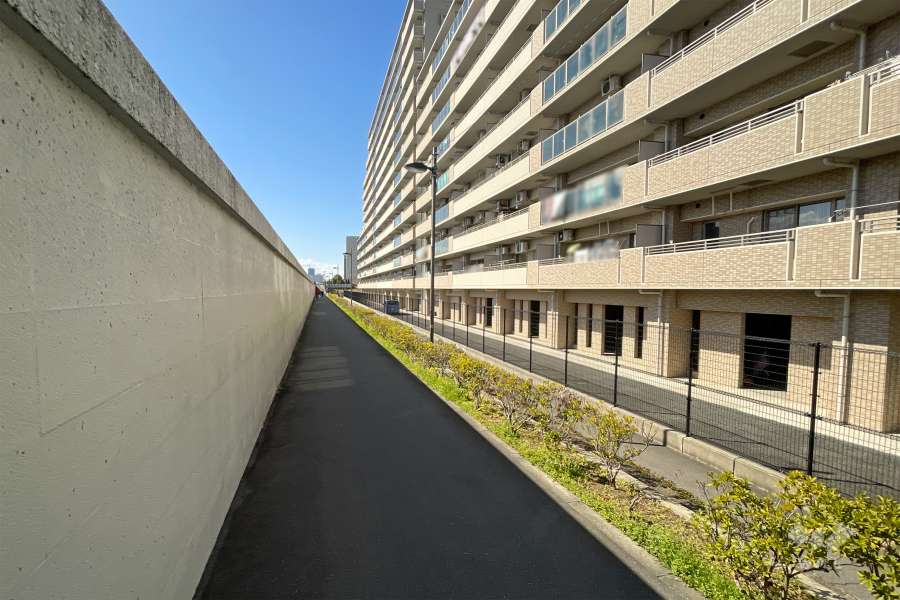 敷地南側の前面道路