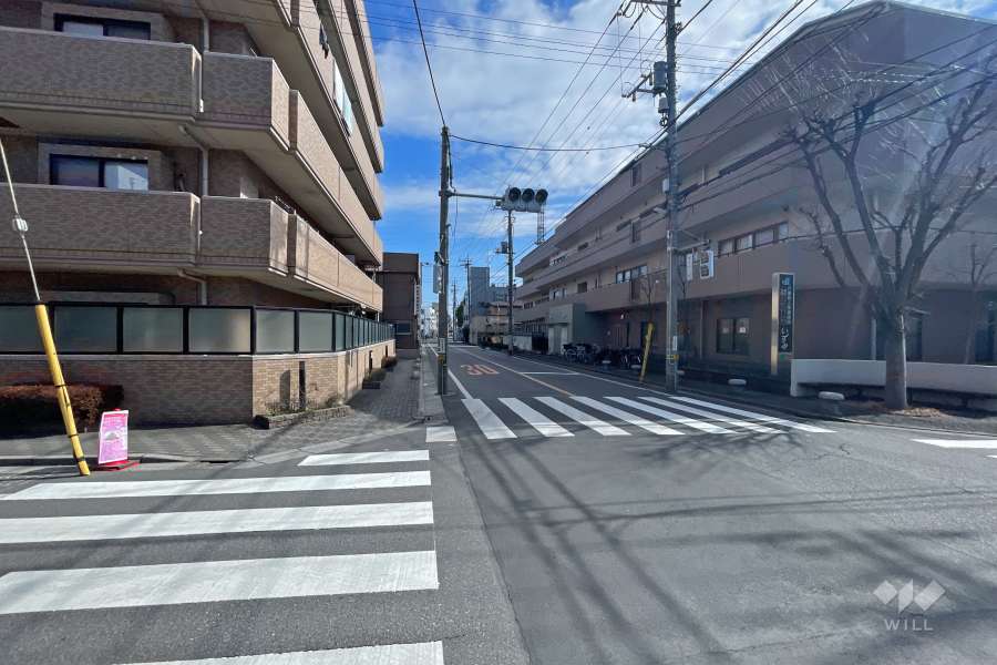 敷地南側の前面道路（西側から）