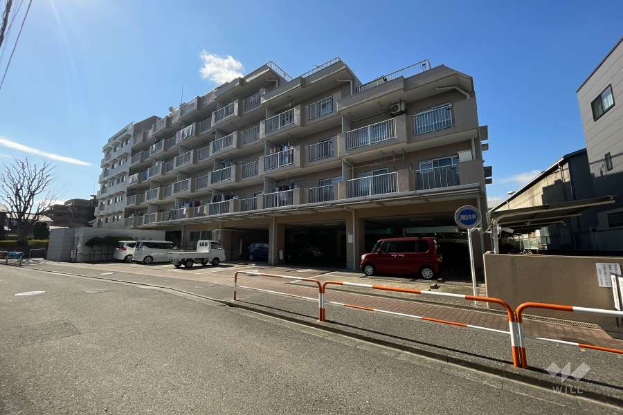竹の塚ハイツの外観（北東側から）